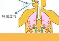 中西医声｜胸闷气紧，呼吸不畅？医生教你4大肺部康复治疗法，助你肺部健康！