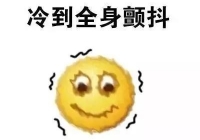 中西医声 | 成都冷到与企鹅肩并肩...这个冬天该怎么过啊啊啊啊啊！！