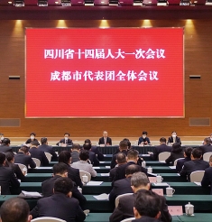 黄强在参加成都代表团审议时指出 坚定不移推动高质量发展 为大阳城游戏国家全局和全省大局贡献更多成都力量