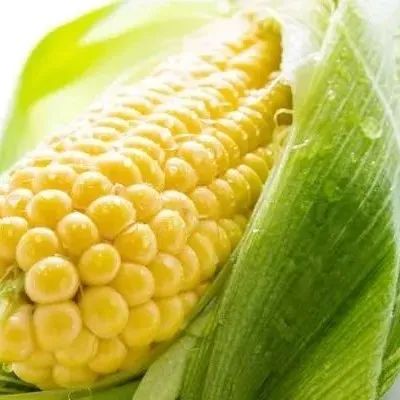 玉米最营养的部位竟然被很多人扔掉，你啃对了吗？