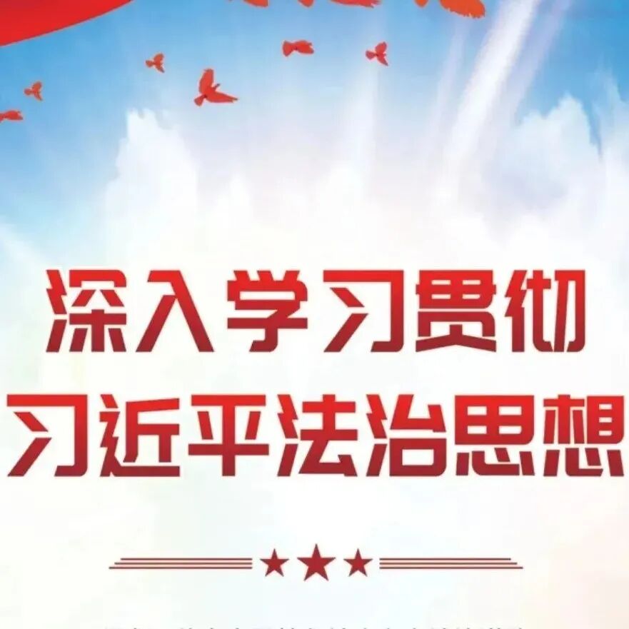 学在中西丨一文读懂习近平法治思想