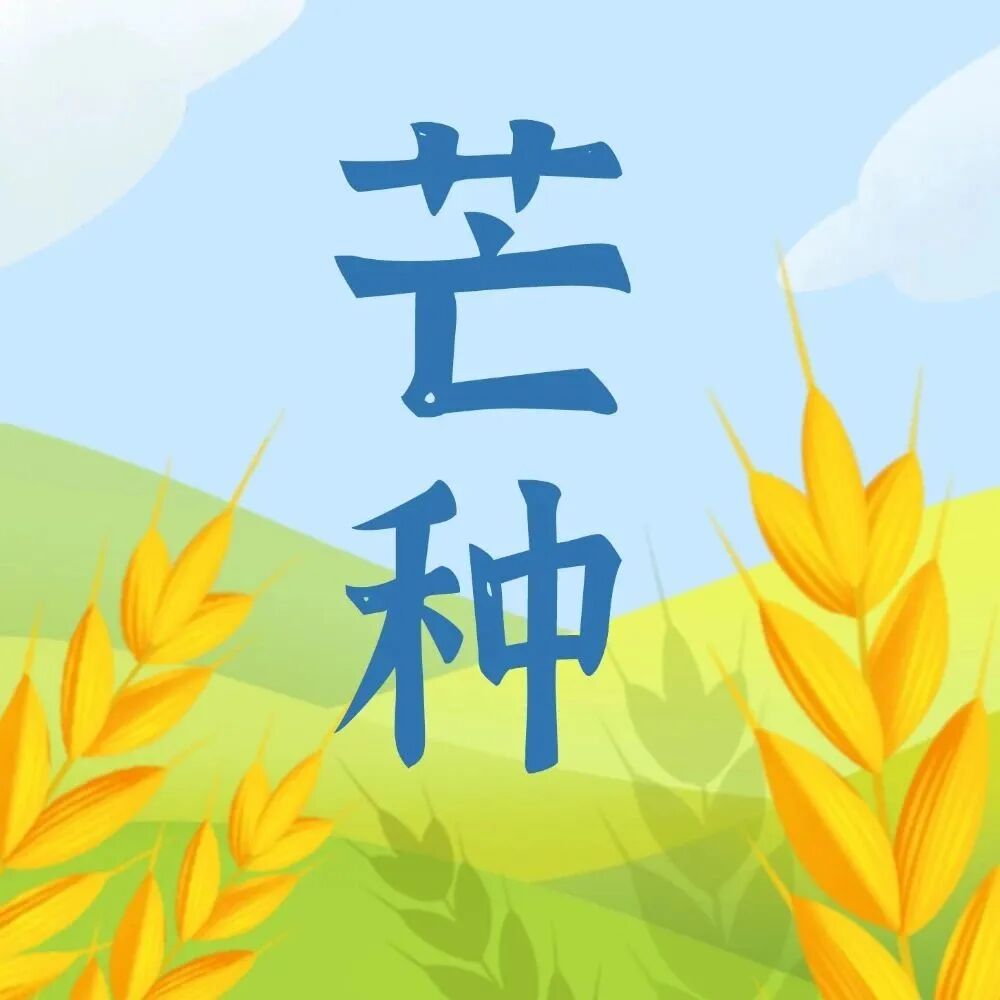 芒种到！养生做到这几点，让身体“忙”而不乱