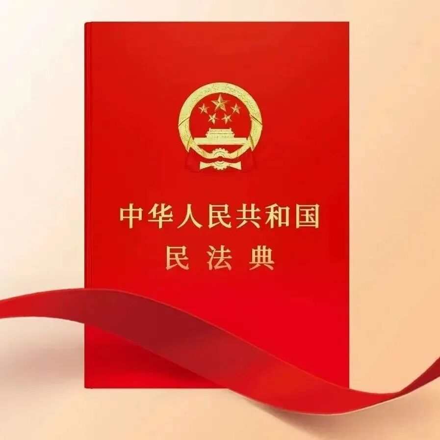 学在中西丨“法”在身边，“典”亮生活