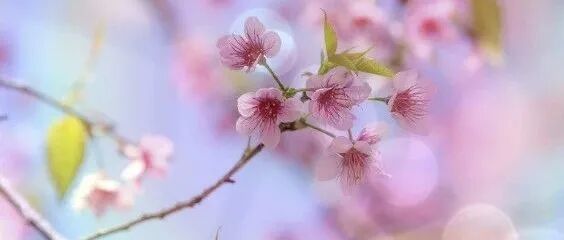 “春捂”就是多穿点？错！做好这几点，才能让你少生病