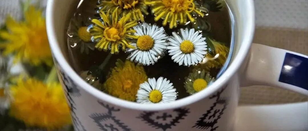 春节 “胡吃海塞” 后，肠胃咋 “减负”？这些要点必知