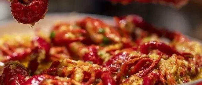 “吃点再睡”还是“饿着睡”？别再纠结了，一文告诉你真相！