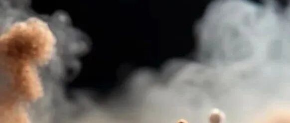 2024年版成都市重污染天气应急预案公布